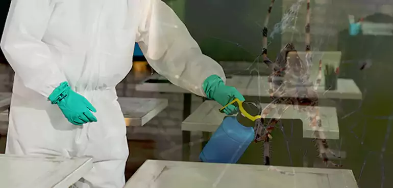 Why Buyers Still Want Homes With Pest Infestations in Birmingham, AL?