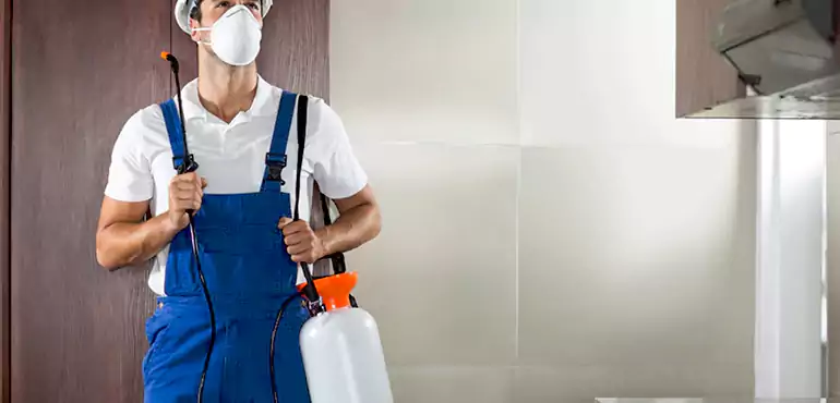 Why Birmingham Homeowners Choose Us When Pests Make Selling Difficult
